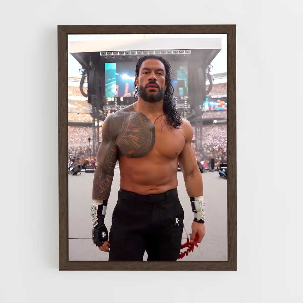 Poster Roman reigns (vue 5)